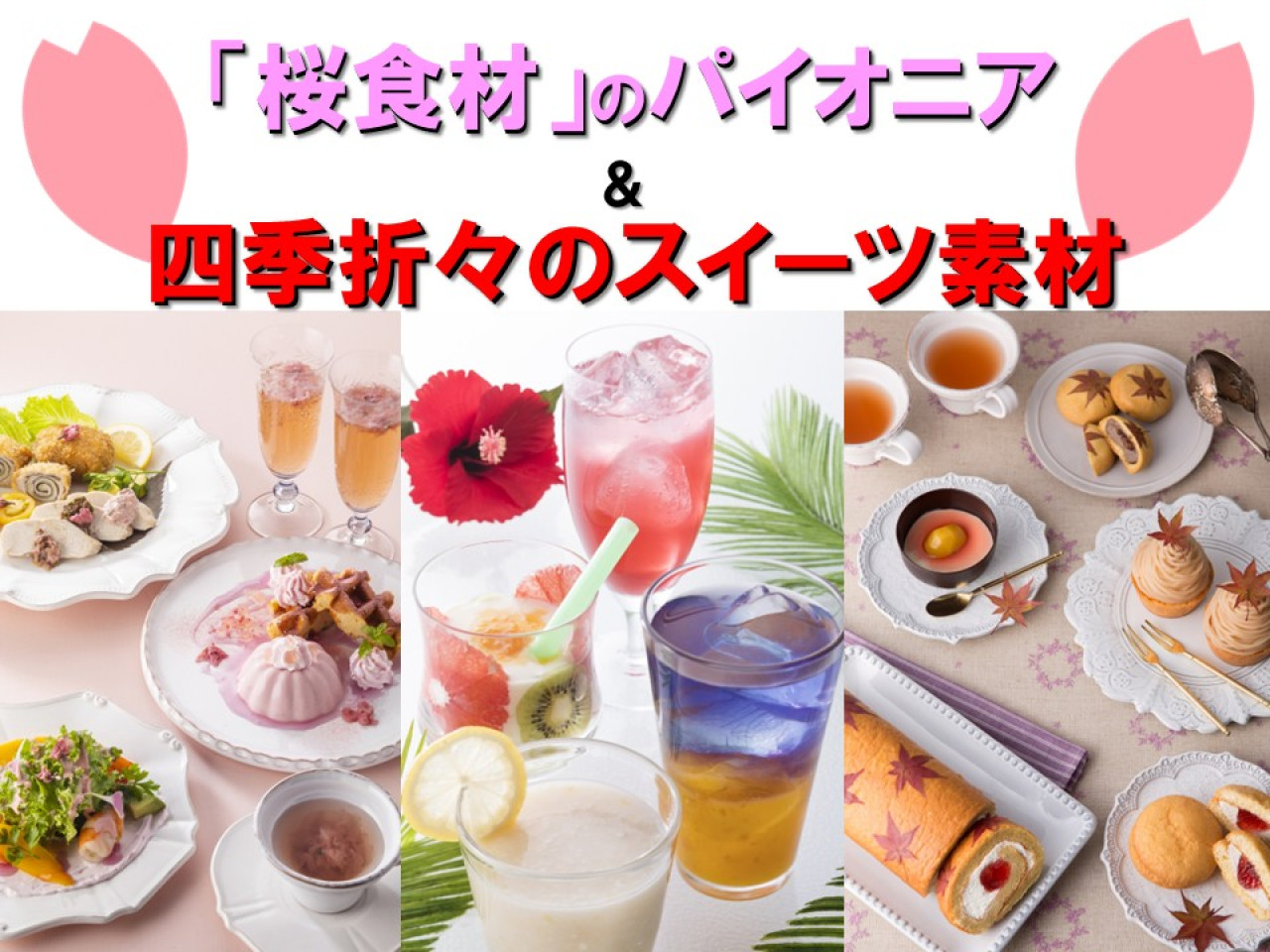 画像案：山眞産業　修正.jpg