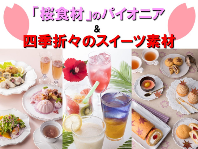 画像案：山眞産業　修正.jpg
