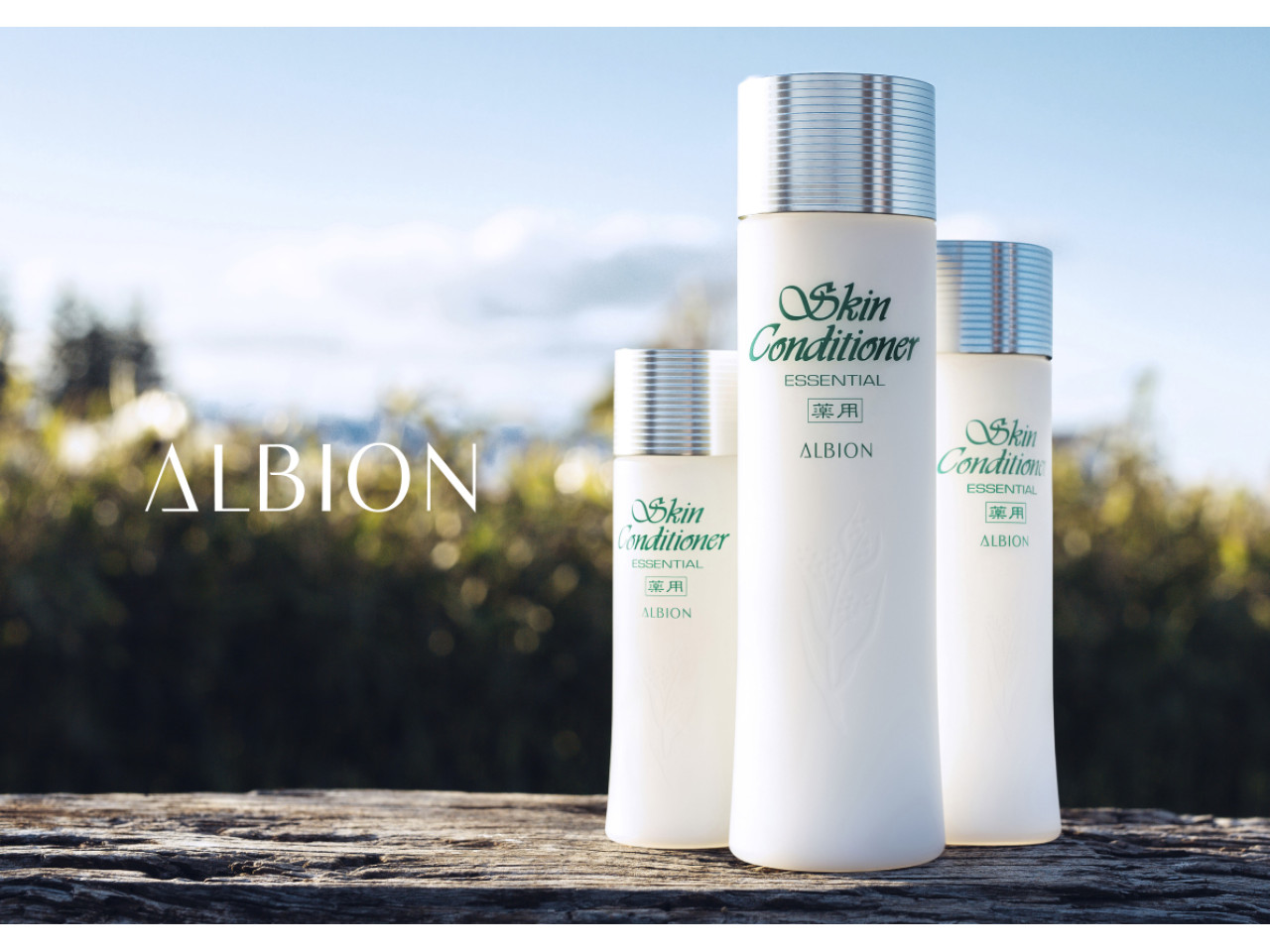 22W後期_スキコンN年間_A3Y_72dpi_RGB (1) (1).jpg